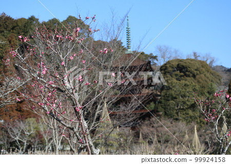 Ruriko-ji Temple in Yamaguchi on the first day of spring with plum blossoms Ruriko-ji Temple in Yamaguchi on the first day of spring with plum blossoms 99924158