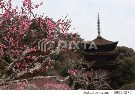 初一梅花山口琉璃光寺 初一梅花山口琉璃光寺 99924273