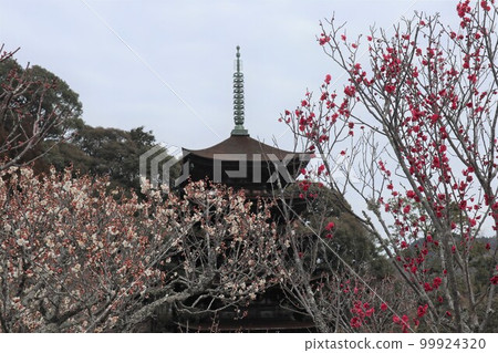 初一梅花山口琉璃光寺 初一梅花山口琉璃光寺 99924320