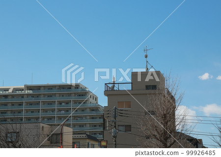 walked in the park 99926485