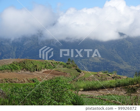 Landscape of Tinnoc Town, Ifugao, Philippines 99926872