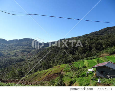 Landscape of Tinnoc Town, Ifugao, Philippines 99926985