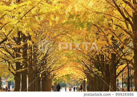 Hikarigaoka Park 99926986