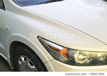 A car dirty with pollen and yellow sand A car dirty with pollen and yellow sand 99927960
