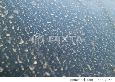 被花粉弄髒的汽車擋風玻璃 99927962