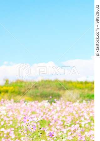 美麗的藍天和可愛的宇宙 美麗的藍天和可愛的宇宙 99928032