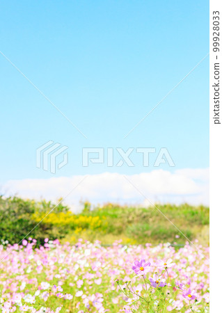 童話秋天的櫻花田 | 垂直構圖 99928033