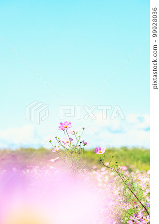 軟萌宇宙場|豎版構圖 軟萌宇宙場|豎版構圖 99928036