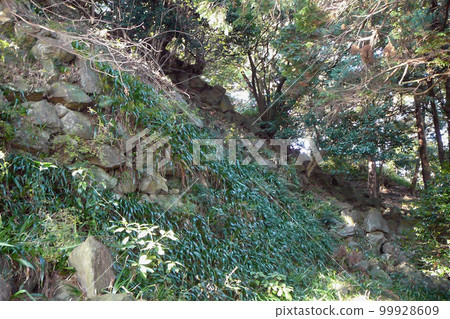 Stone Wall of Ishigakiyama Ichiya Castle [National Historic Site, Toyotomi Hideyoshi] Odawara City, Kanagawa Prefecture 99928609