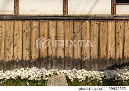 Autumn flowers, autumn scenery blooming in front of the eaves-2 99929065