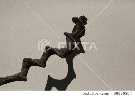 The vines wrapped around the felled trees have a very strange shape. The vines wrapped around the felled trees have a very strange shape. 99929504