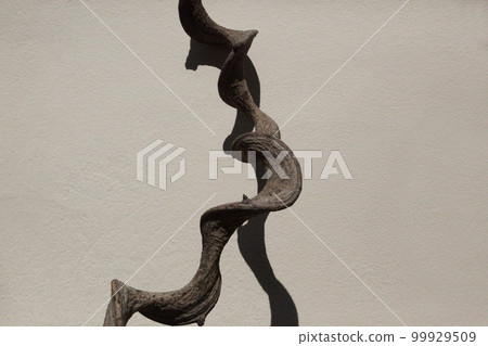The vines wrapped around the felled trees have a very strange shape. 99929509