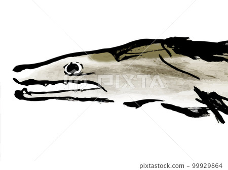 Conger手繪日式插畫素材 Conger手繪日式插畫素材 99929864