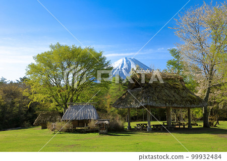 從西湖野鳥森林公園的新綠眺望富士山 99932484