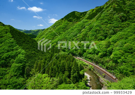 JNR彩色381系列特快八雲奔跑在群山之中 JNR彩色381系列特快八雲奔跑在群山之中 99933429