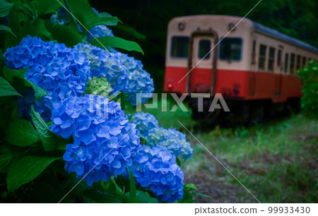 繡球花·小湊鐵道 Kiha 200 99933430