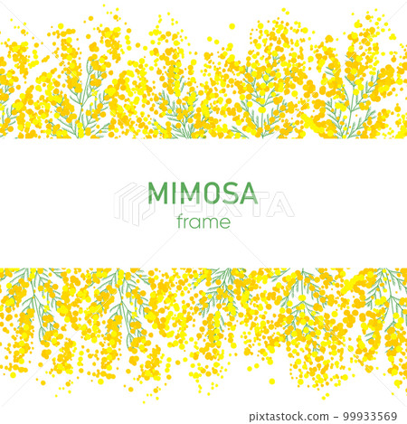 Mimosa motif frame, wallpaper illustration 99933569
