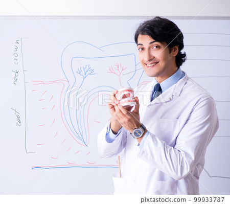 Young handsome dentist in front of the whiteboard Young handsome dentist in front of the whiteboard 99933787