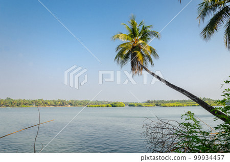 Backwaters of Kemmanu delta Backwaters of Kemmanu delta 99934457