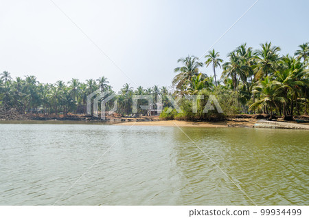 Backwaters of Kemmanu delta Backwaters of Kemmanu delta 99934499