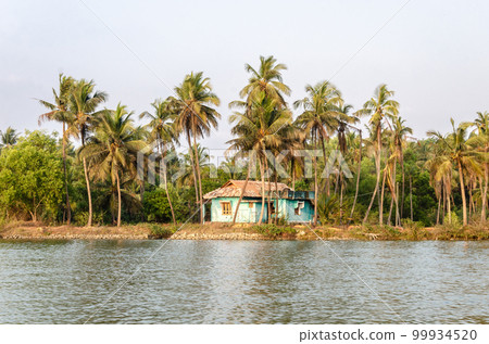Backwaters of Kemmanu delta Backwaters of Kemmanu delta 99934520