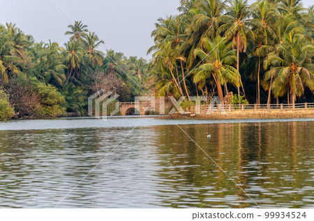 Backwaters of Kemmanu delta Backwaters of Kemmanu delta 99934524