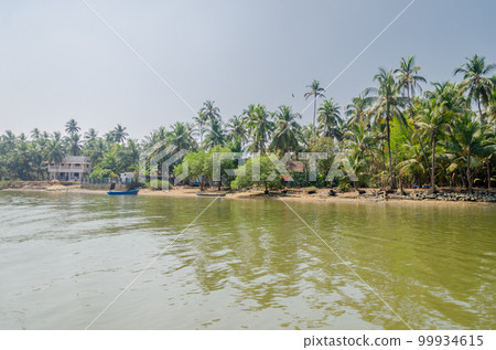 Backwaters of Kemmanu delta Backwaters of Kemmanu delta 99934615
