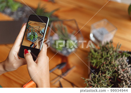 Close up of florist taking picture of her plants for publishing in social media 99934944