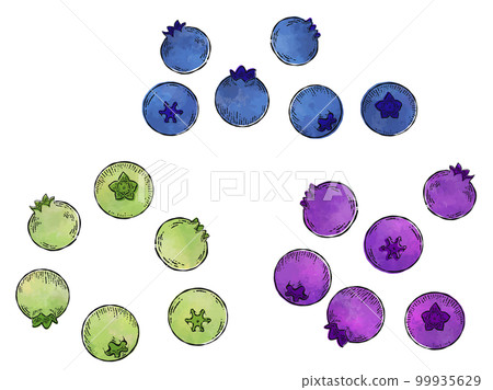 水彩新鮮藍莓插畫素材 水彩新鮮藍莓插畫素材 99935629