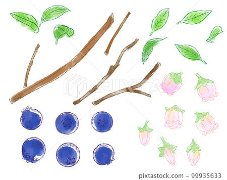 手繪水彩藍莓插畫素材集 手繪水彩藍莓插畫素材集 99935633