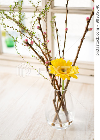 安排桃花束 [春天的形象] 99935640