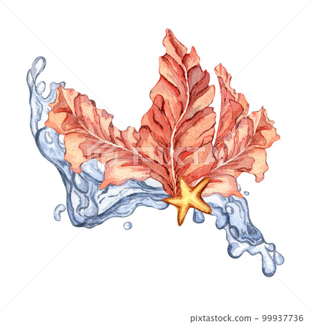 Composition of pink sea plants watercolor illustration isolated on white. 99937736