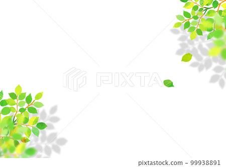 新鮮的綠色和木紋框架背景材料 99938891