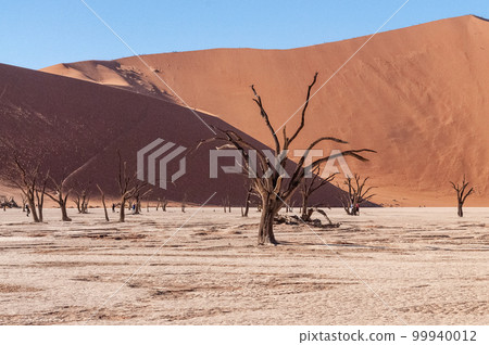 Barren landscape near Deadvlei and sossusvlei 99940012
