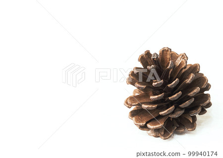 Fir brown cone isolated on a white background. Close up. Copy space 99940174