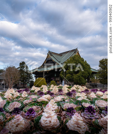 千葉縣成田市成田山新勝寺的清晨 千葉縣成田市成田山新勝寺的清晨 99940902