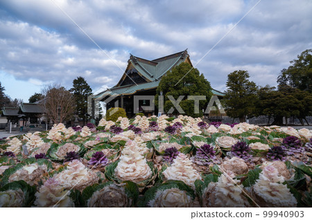 Narita City, Chiba Prefecture Early morning at Naritasan Shinshoji Temple Narita City, Chiba Prefecture Early morning at Naritasan Shinshoji Temple 99940903