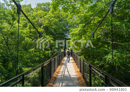 Hokkaido Kyogoku Fukidashi Park Suspension Bridge 99941801
