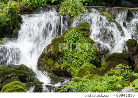 北海道京極吹出石公園著名的碧水 99941830