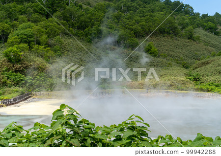 北海道新雪谷天年溫泉大湯沼 99942288