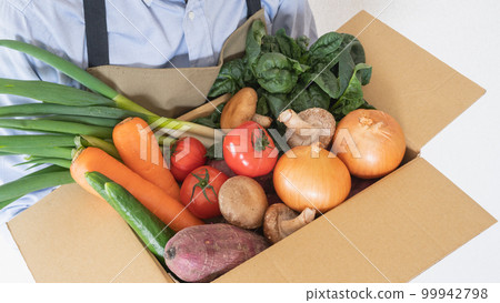 Boxed fresh vegetables | Vegetable home delivery service image Boxed fresh vegetables | Vegetable home delivery service image 99942798