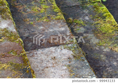 I photographed the stairs of a temple that adjoins a beautiful square combination of humidity and moss-covered woodlands from an oblique angle. I photographed the stairs of a temple that adjoins a beautiful square combination of humidity and moss-covered woodlands from an oblique angle. 99943133