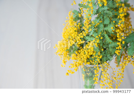 木桌花瓶中的含羞草 3(攝於 2023 年 3 月上午) 木桌花瓶中的含羞草 3(攝於 2023 年 3 月上午) 99943177