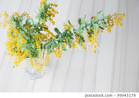 木桌花瓶中的含羞草 4(攝於 2023 年 3 月上午) 木桌花瓶中的含羞草 4(攝於 2023 年 3 月上午) 99943179