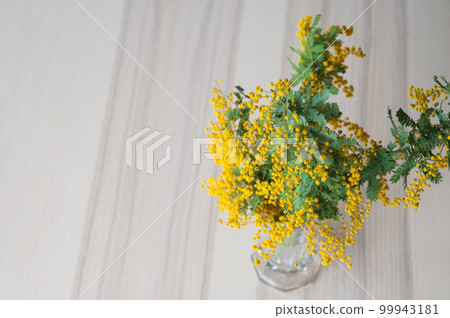 木桌花瓶中的含羞草 5(攝於 2023 年 3 月上午) 木桌花瓶中的含羞草 5(攝於 2023 年 3 月上午) 99943181