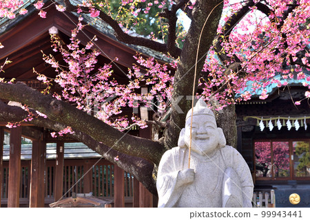 Early-blooming cherry blossoms bloom vividly at a Shinagawa shrine 99943441