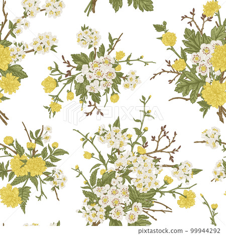 Floral seamless pattern with bouquets of yellow and white flowers. Botanical illustration. Blooming Japanese kerria, hawthorn, cherry. Isolated on transparent background. 99944292