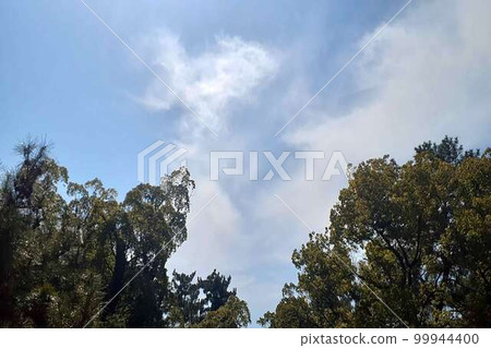 美麗的春天天空 美麗的春天天空 99944400