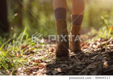Woman hiker hiking on forest trail Woman hiker hiking on forest trail 99944517