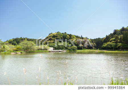 立花交流公園 立花交流公園 99945864